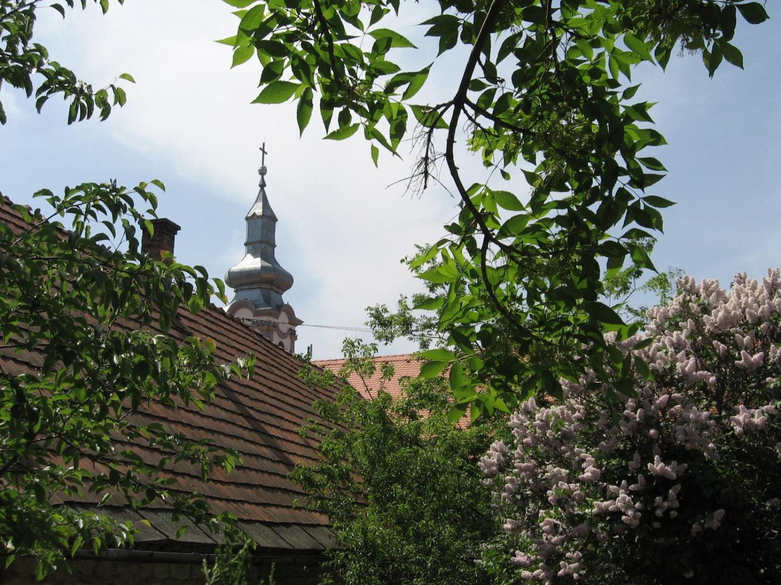 Rozmaringos Udvarhaz Dunafoldvar Exterior foto